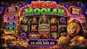 Mega Moolah YY9 Reels for Life-Changing Jackpot Prizes